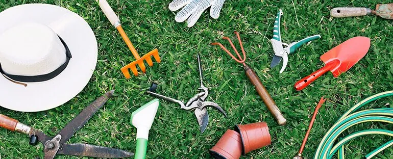 Saksı Çeşitleri Çorlu - Garden Artisan Botanik